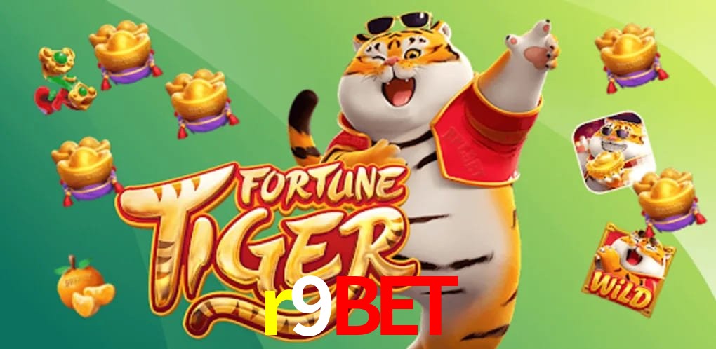 Sports Statistics r9bet